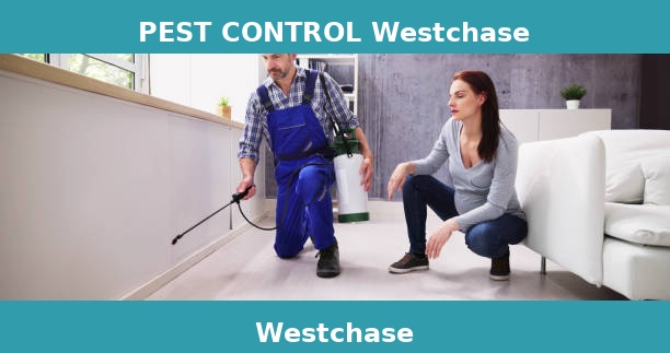 PEST CONTROL Westchase